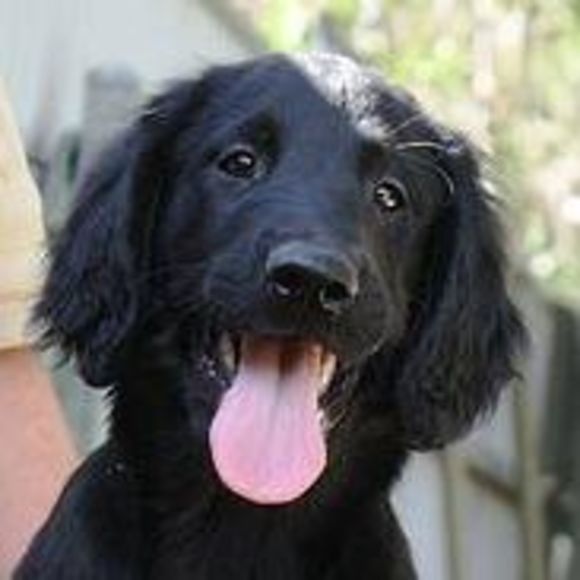 Meet your Posher, Kirsten - Picture 1 of 1